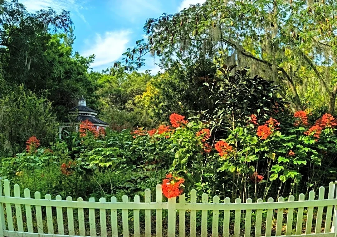Planning Florida Rain Gardens for Stormwater Management