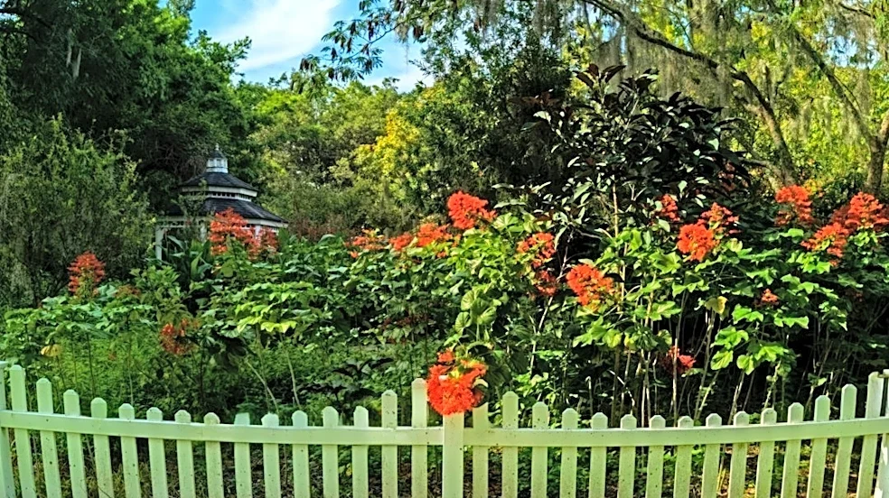 Planning Florida Rain Gardens for Stormwater Management
