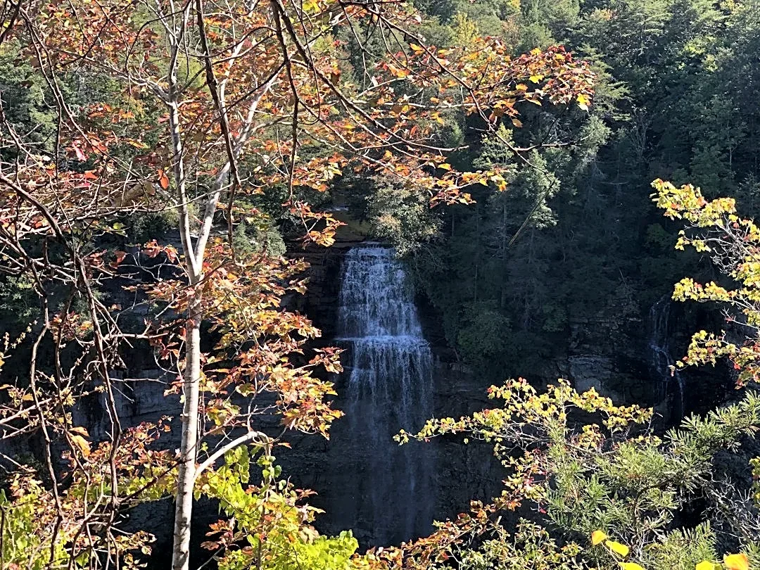 Chilly Mornings Persist in Middle Tennessee This Week