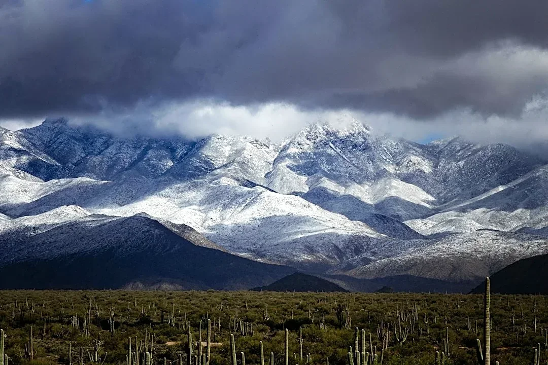 El Niño Brings Wetter Winter to Arizona