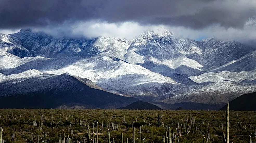 El Niño Brings Wetter Winter to Arizona