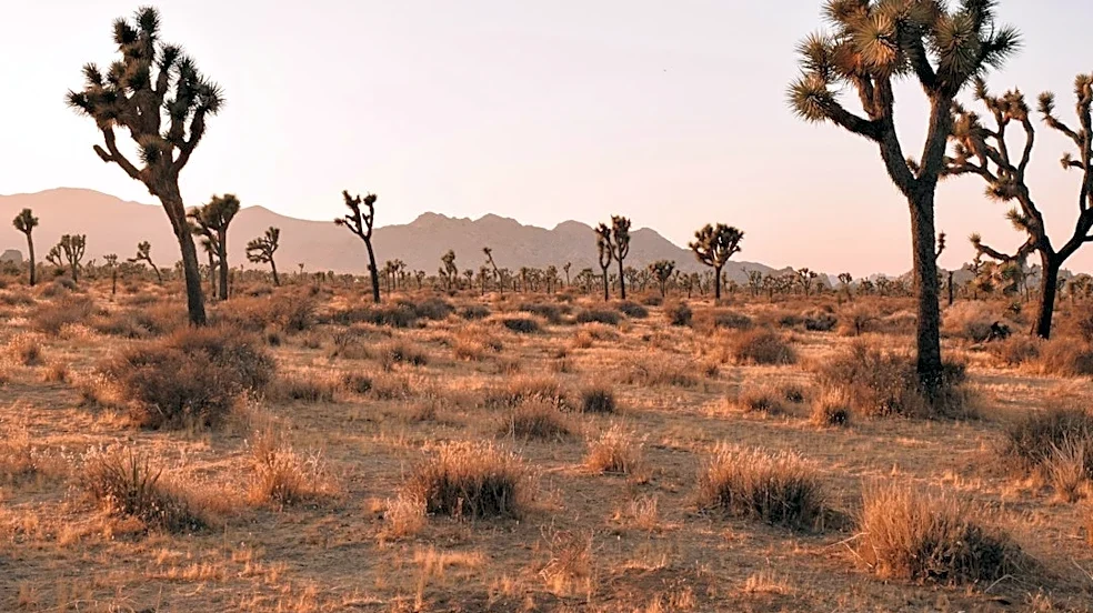 Dry, Windy Conditions Persist in Las Vegas Area