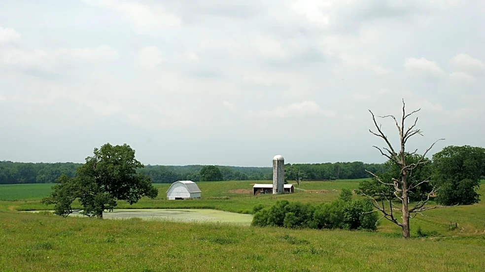 Heavy Rains Delay Ohio Harvest Amid Wettest Year Yet