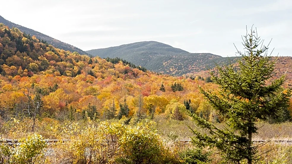 How Weather Shapes New England’s Stunning Fall Foliage