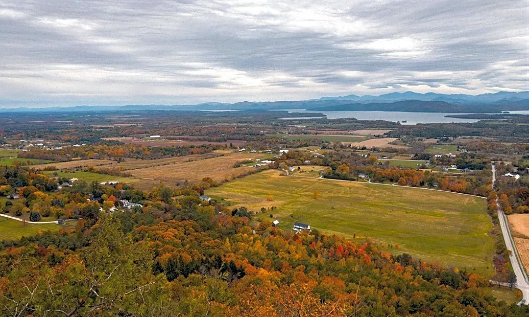 Understanding Vermont's Fall Foliage: Timing and Tips