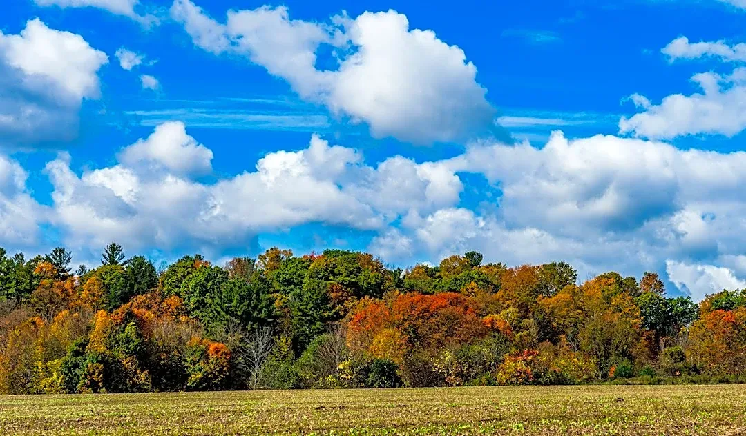 Understanding Seasonal Weather Patterns: A Guide to Fall Weather Changes