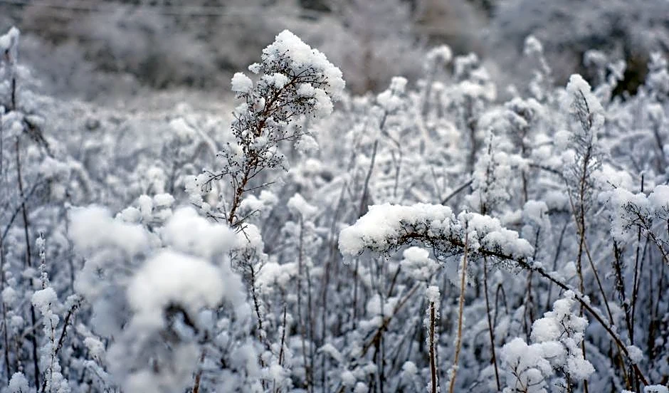 Super El Niño Could Bring a Stormier Winter to the South