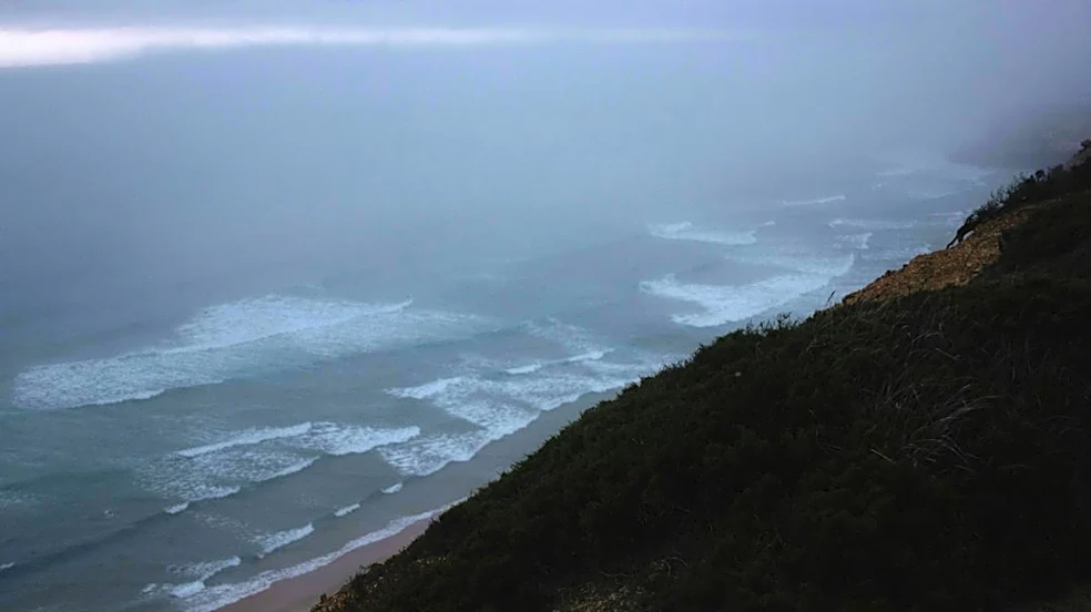 Nor’easter Develops as Frost Advisory Issued for New York