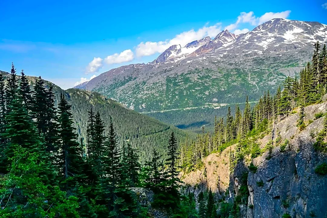Alaska Cruise Highlights Skagway's Scenic Wonders
