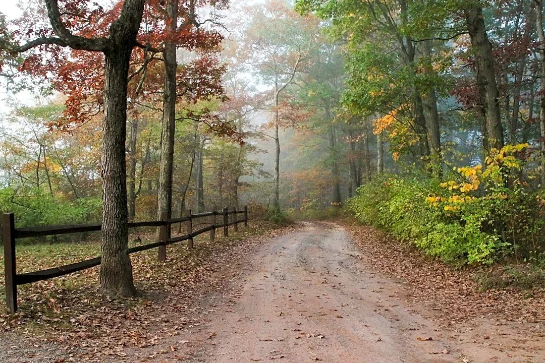 Frost and Freeze Alerts for Maryland Monday Morning