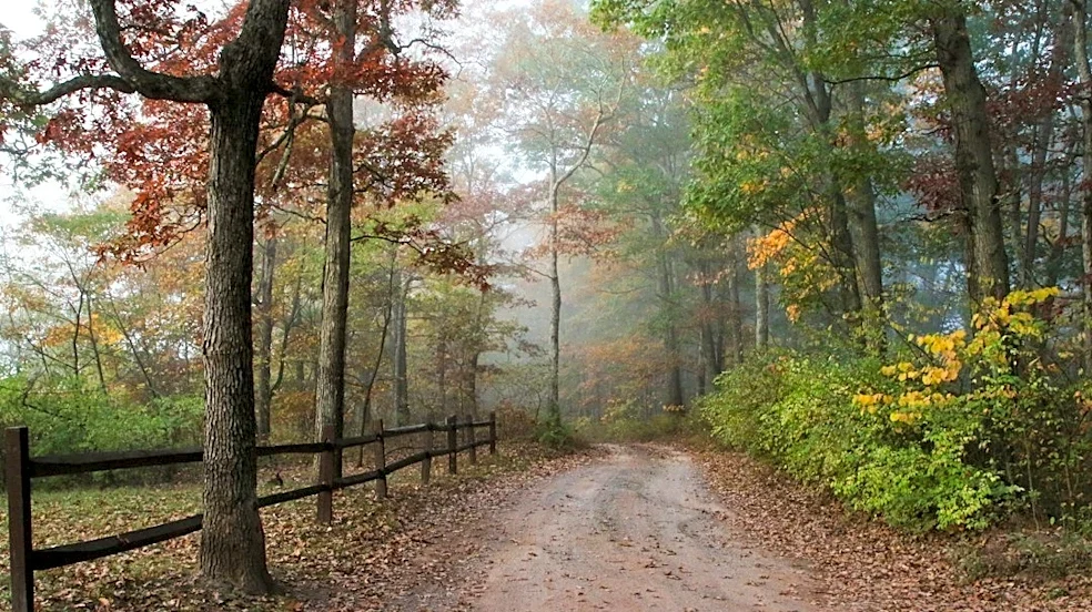 Frost and Freeze Alerts for Maryland Monday Morning
