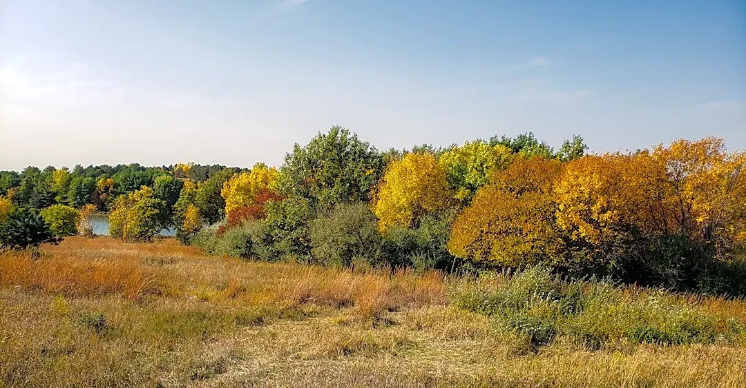 Fall Foliage Tracker: Current Status Across the U.S.