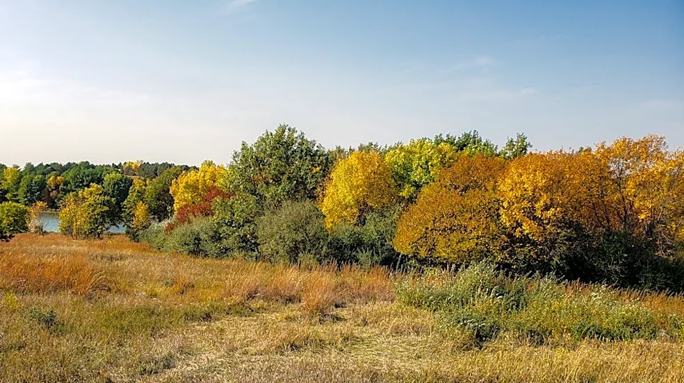 Fall Foliage Tracker: Current Status Across the U.S.