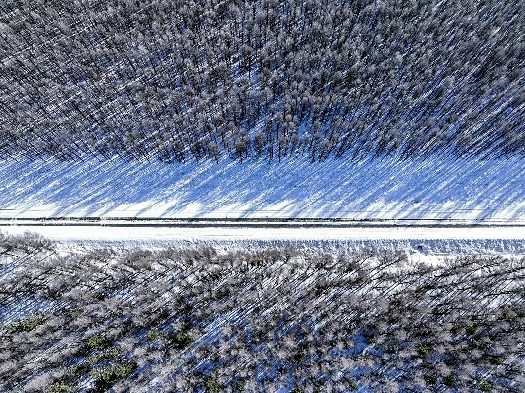 Thanksgiving 2026 Weather Outlook: Snow in Midwest, Rain in East