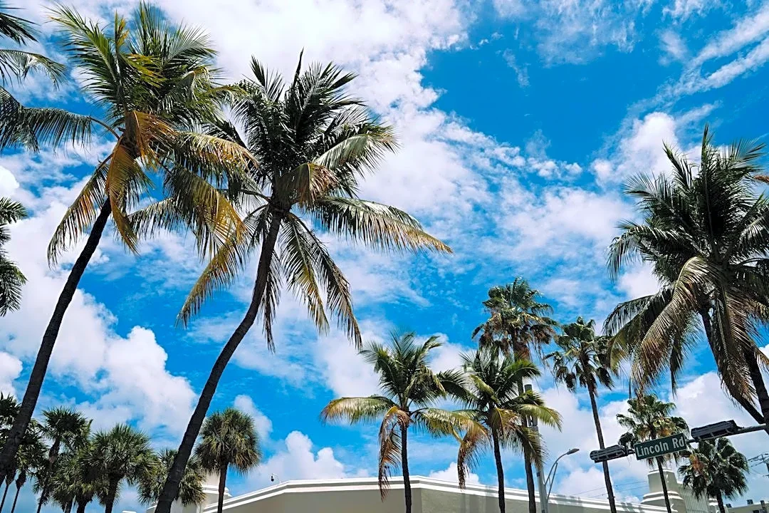 South Florida Sees Warm, Sunny Start to the Day