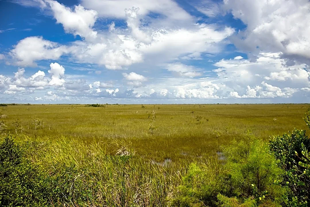 Florida's Winter Camping Season Opens Up