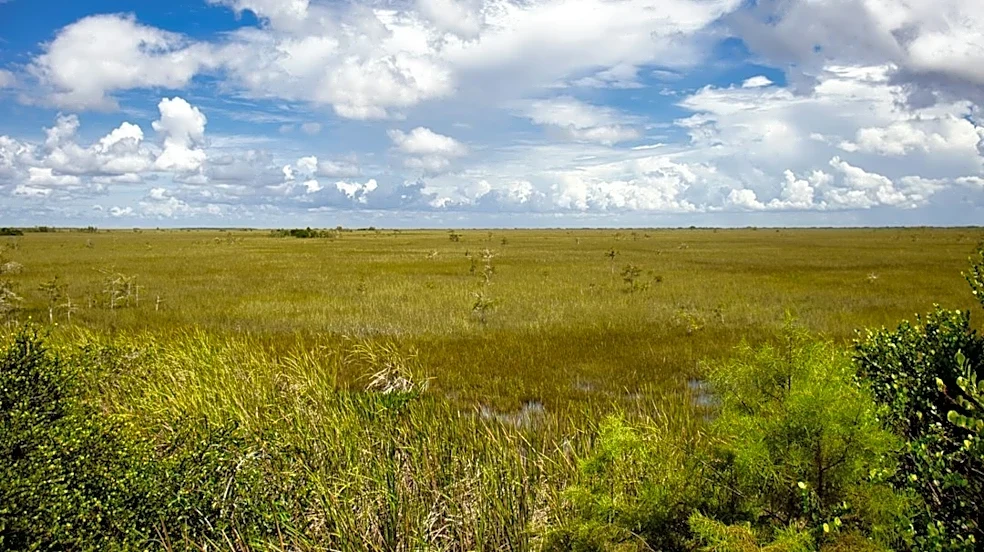 Florida's Winter Camping Season Opens Up