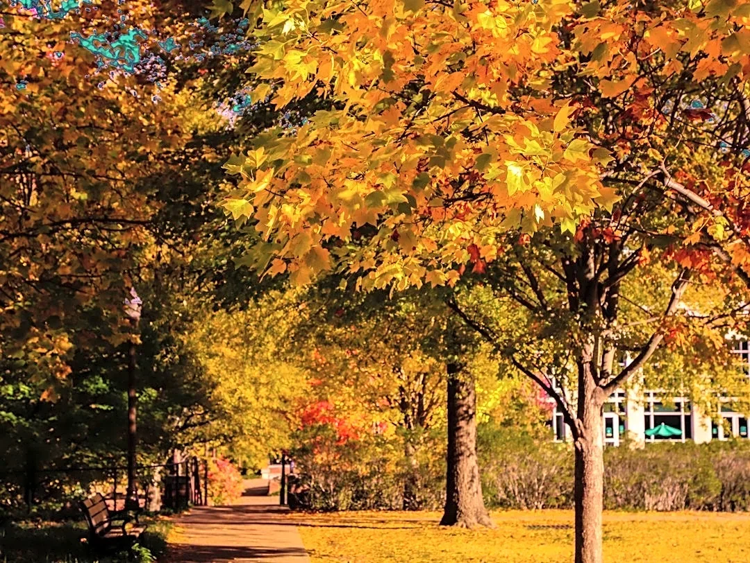 Dry, Cooler Weather Expected in Nashville This Week