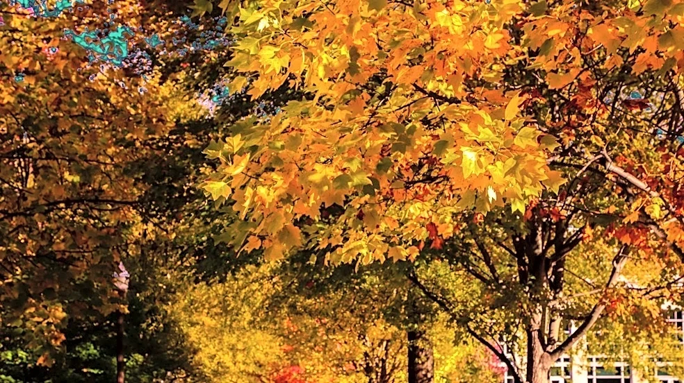 Dry, Cooler Weather Expected in Nashville This Week
