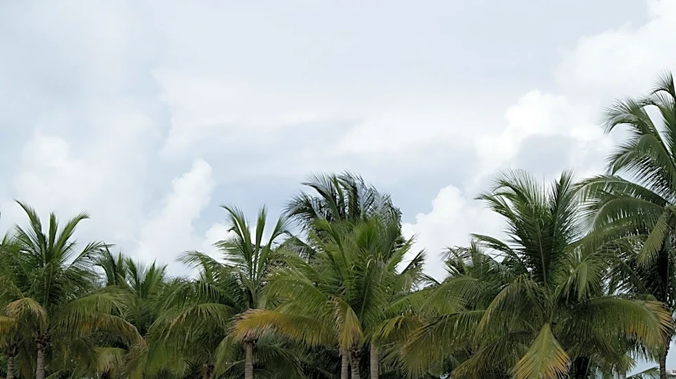 Unpredictable Showers and Breezy Weather in Miami