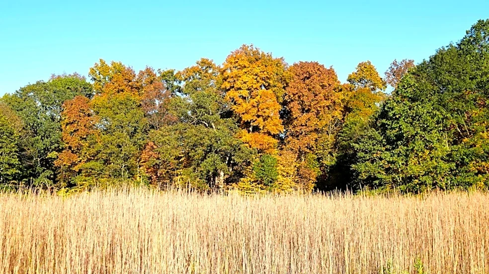Sunny and Mild Week Ahead for Indiana