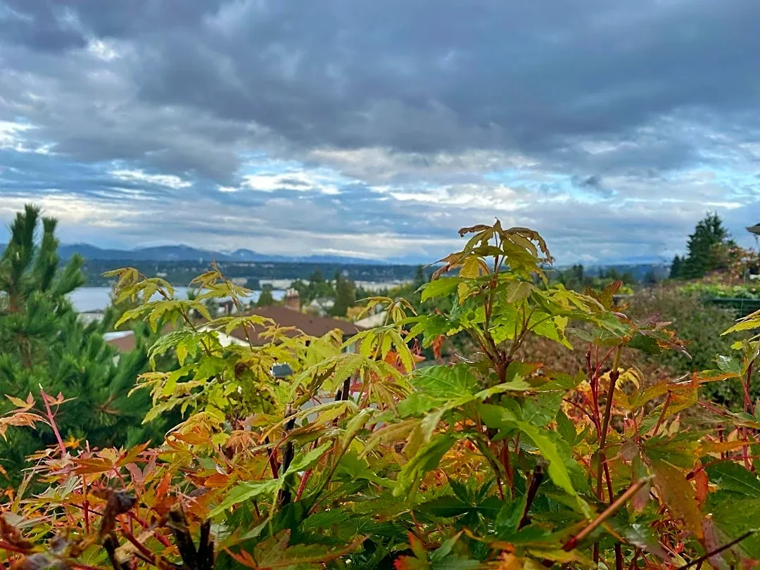 Seattle Faces One of Driest Octobers in 130 Years