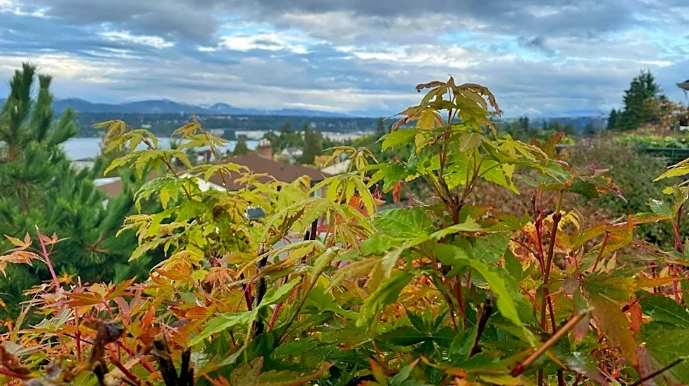 Seattle Faces One of Driest Octobers in 130 Years