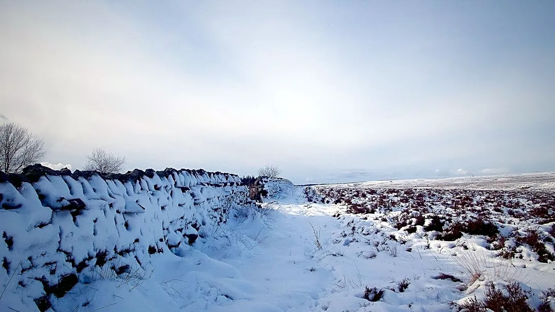 Understanding Hypothermia and Frostbite: Prevention and Management