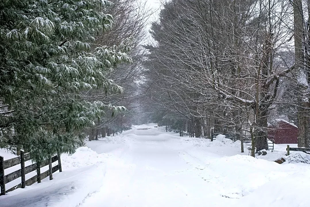 How to Safely Shovel Snow and Protect Your Heart
