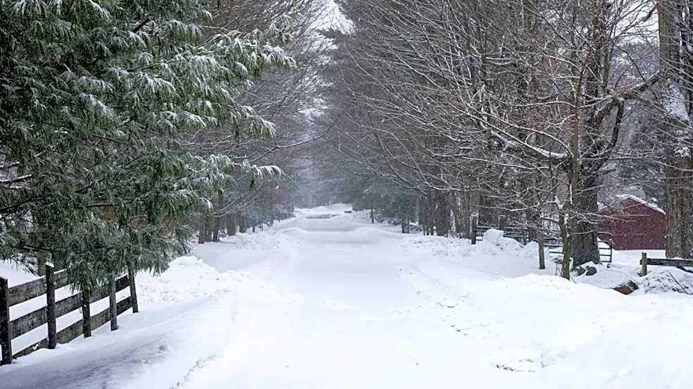 How to Safely Shovel Snow and Protect Your Heart