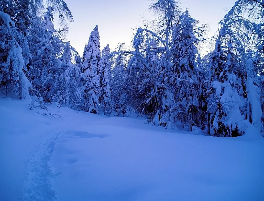 Essential Tips for Running in Cold Weather This November