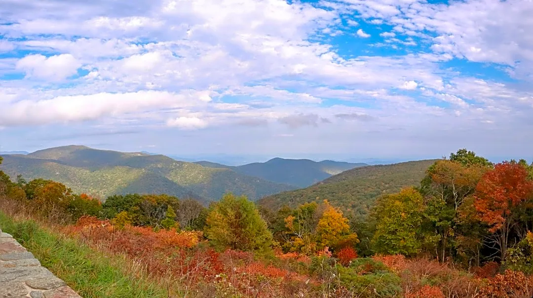 How to Use the Virginia Fall Foliage Map for Stunning Autumn Views