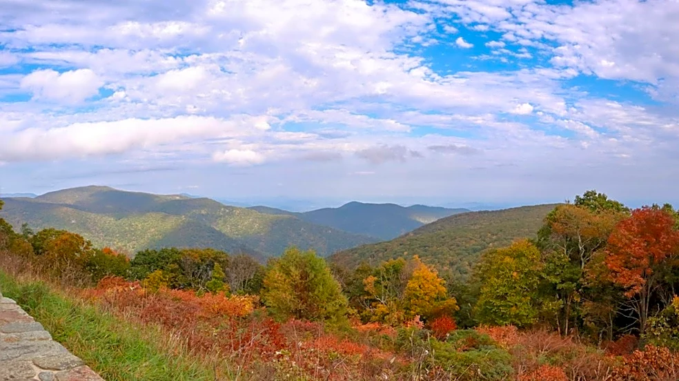 How to Use the Virginia Fall Foliage Map for Stunning Autumn Views