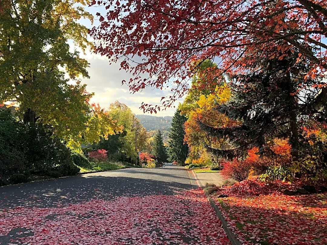 Warm 70s in Oregon to Cool by Weekend