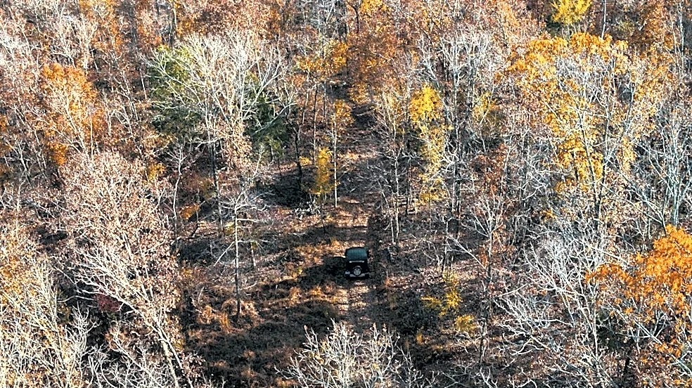 Ozarks Fall Foliage Delayed by Warm Weather