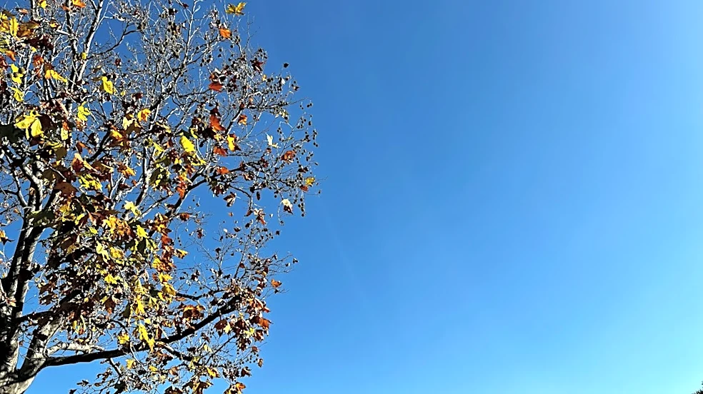 Cooler Weather Arrives in the Bay Area