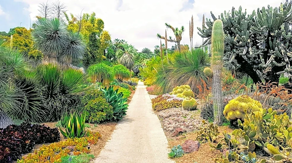 Why Fall is the Best Time to Plant in the Desert Southwest