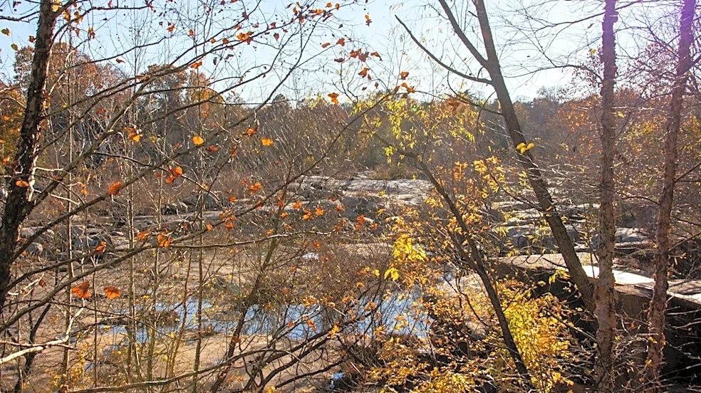 Richmond Enjoys Sunny Skies and Crisp Fall Breezes