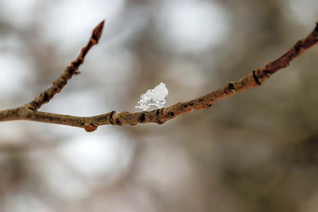Understanding Graupel: A Unique Form of Precipitation