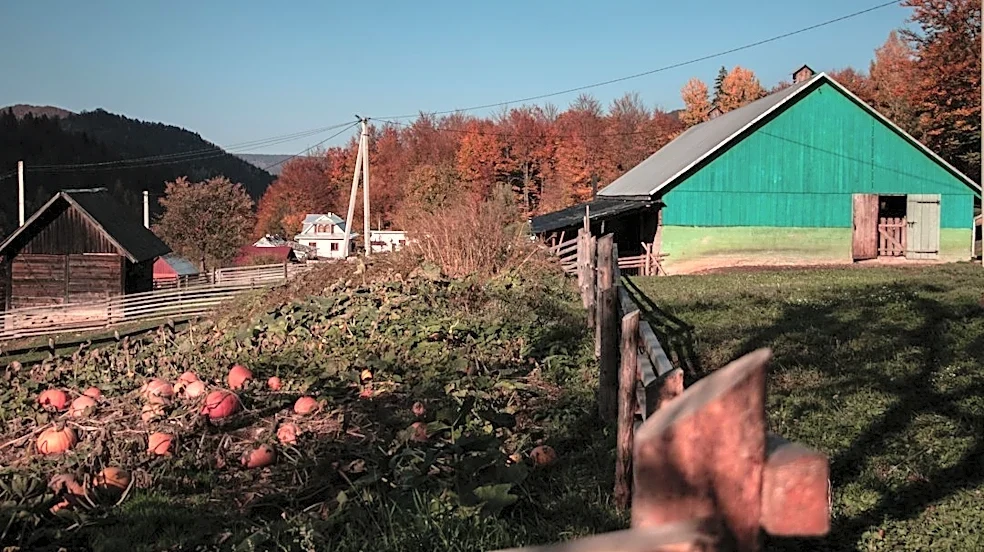 Fall Festival Brings Autumn Magic to Manorville, NY