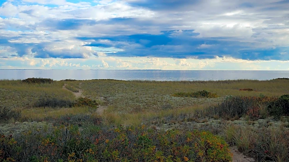 Nor'easter Offshore Brings Winds, Rough Seas to Mass.