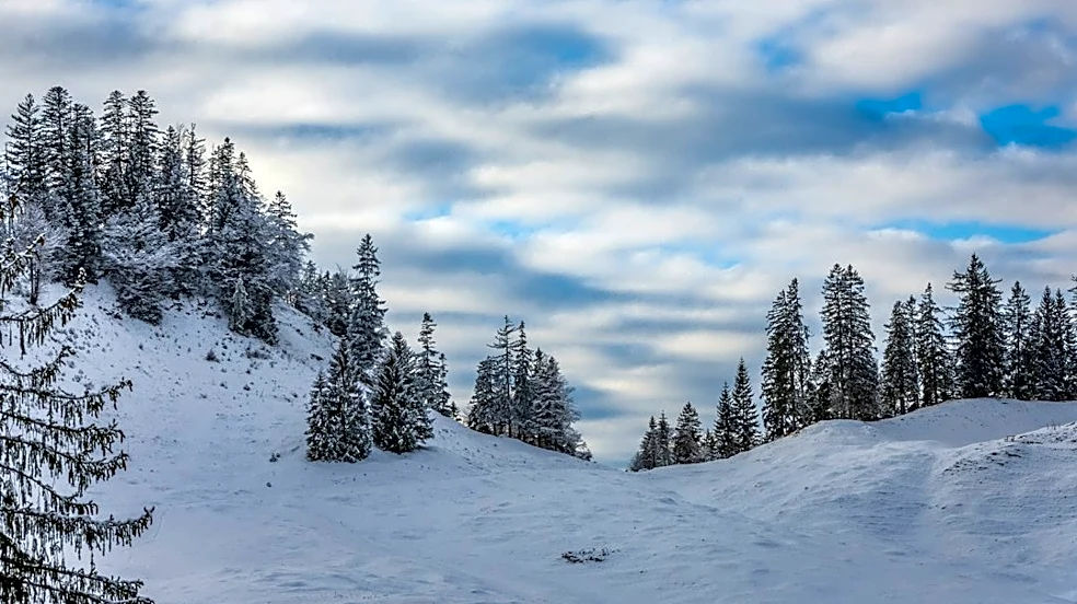 Winter Forecast Highlights Snowstorm Risks in U.S.