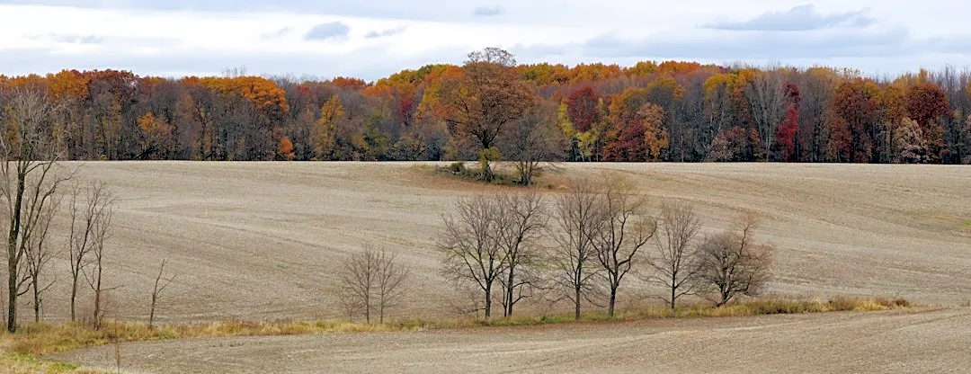 Mild Fall Weather Continues with Above-Average Temps