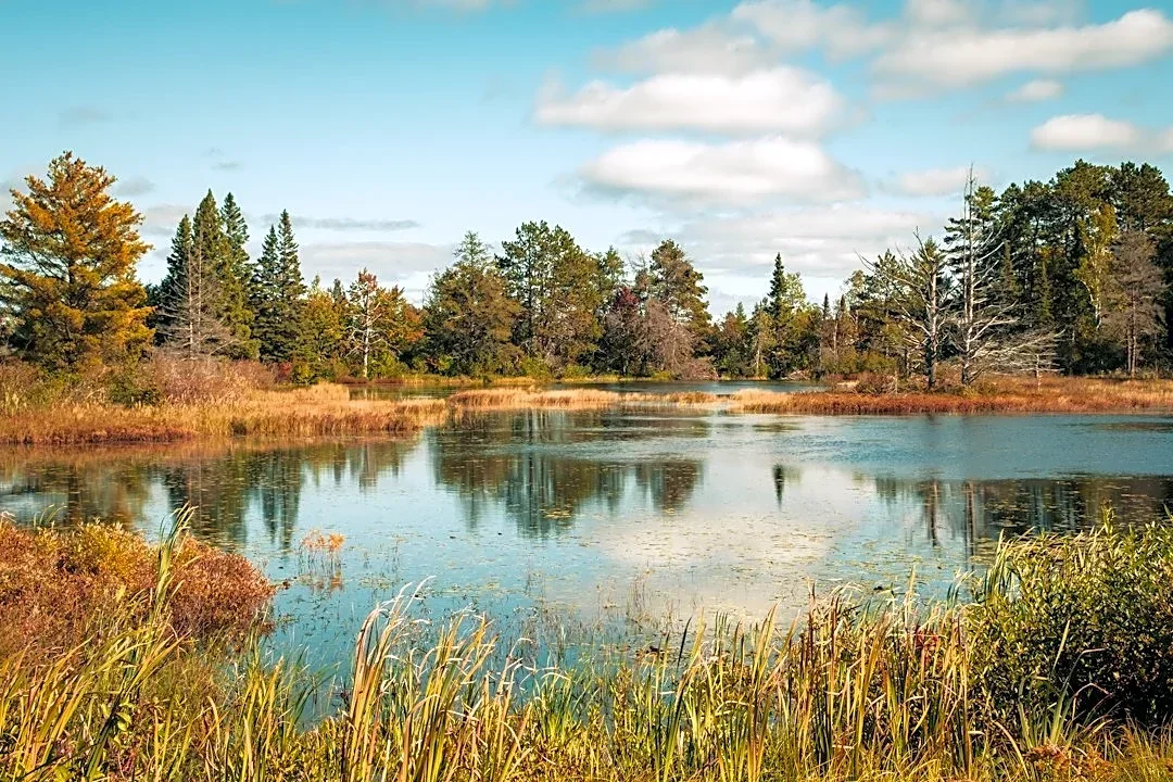 Dry Weather in Upper Michigan Elevates Wildfire Risk