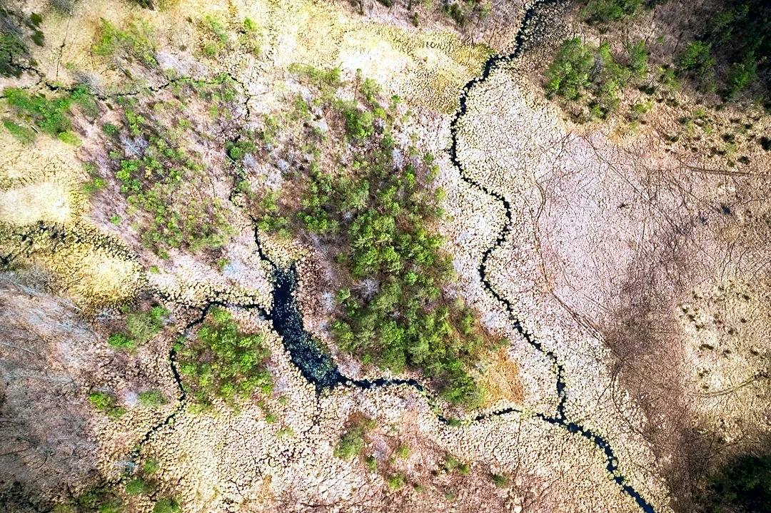 Climate Change Impacts Ecosystems Across Five U.S. States