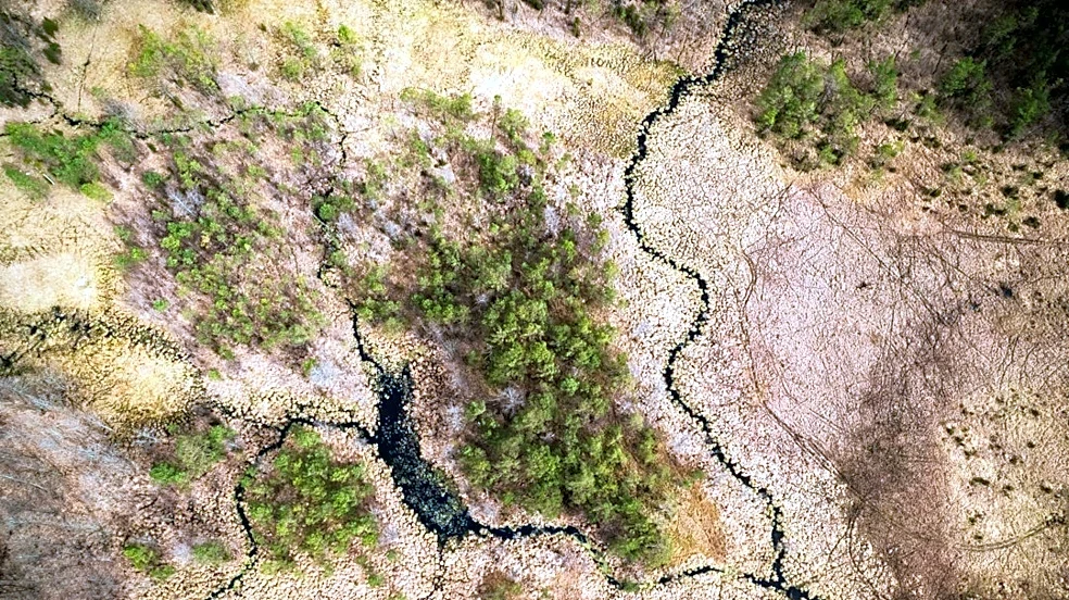 Climate Change Impacts Ecosystems Across Five U.S. States