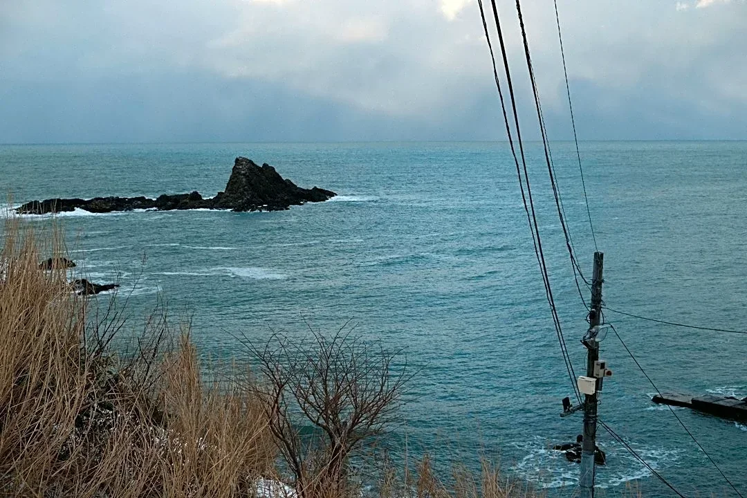 Salt Contamination Causes Power Outages in Virginia Amid Coastal Storms