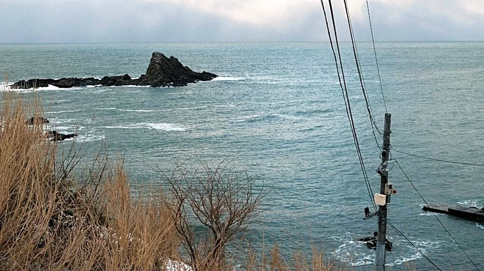 Salt Contamination Causes Power Outages in Virginia Amid Coastal Storms