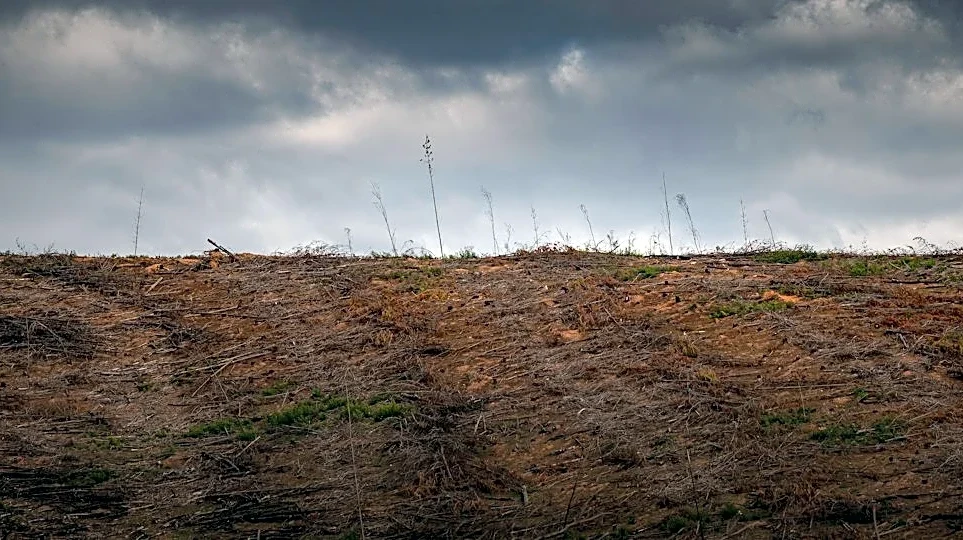 Heavy Rain Threatens Flooding Near Burn Scars in Nevada