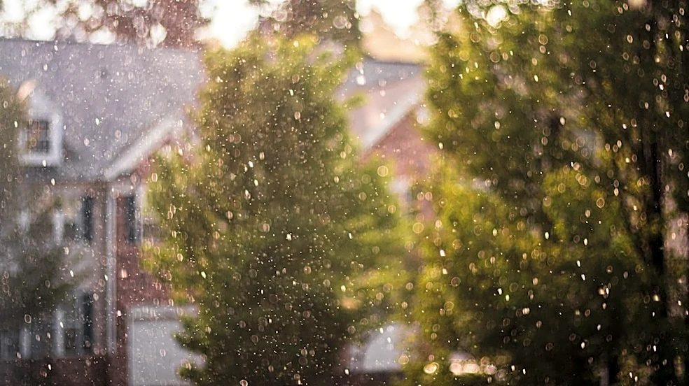 Thanksgiving 2026: Snow, Rain, and Sunshine Across U.S.